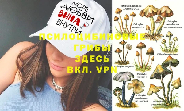 спиды Балахна