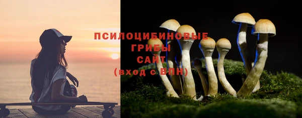 спиды Балахна