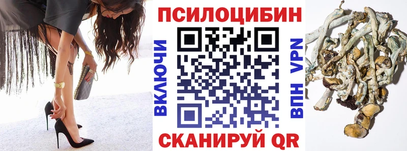 Псилоцибиновые грибы GOLDEN TEACHER  ОМГ ОМГ   Ужур 